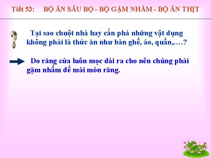 Tiết 53: BỘ ĂN S U BỌ - BỘ GẶM NHẤM - BỘ ĂN