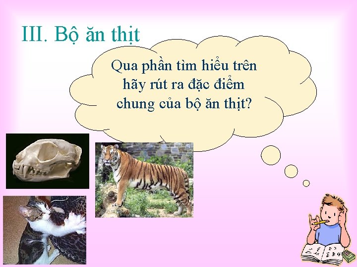 III. Bộ ăn thịt Qua phần tìm hiểu trên hãy rút ra đặc điểm