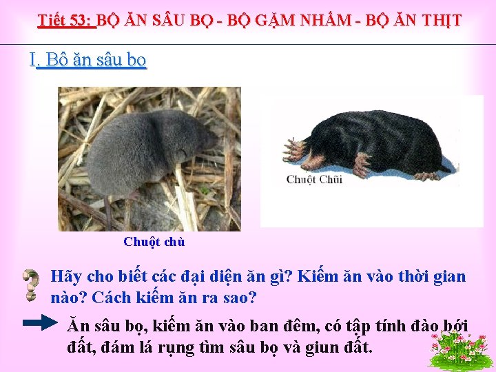 Tiết 53: BỘ ĂN S U BỌ - BỘ GẶM NHẤM - BỘ ĂN