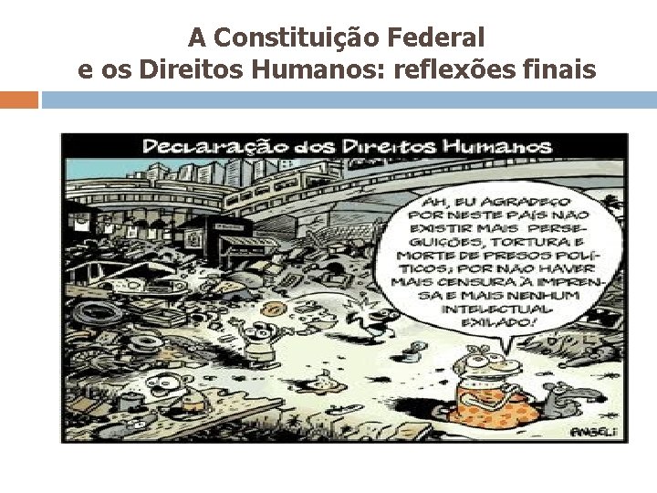 A Constituição Federal e os Direitos Humanos: reflexões finais 