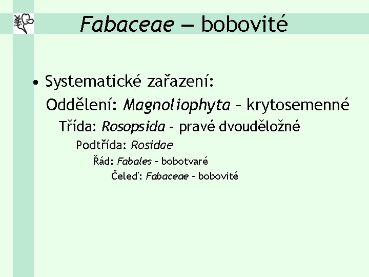 Fabaceae – bobovité • Systematické zařazení: Oddělení: Magnoliophyta – krytosemenné Třída: Rosopsida – pravé