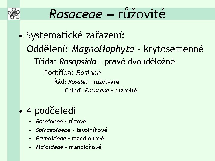 Rosaceae – růžovité • Systematické zařazení: Oddělení: Magnoliophyta – krytosemenné Třída: Rosopsida – pravé