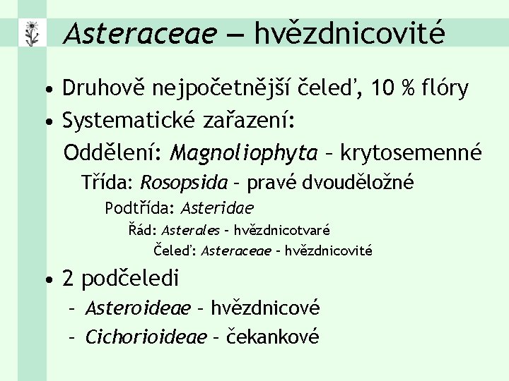 Asteraceae – hvězdnicovité • Druhově nejpočetnější čeleď, 10 % flóry • Systematické zařazení: Oddělení:
