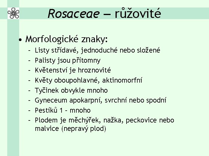 Rosaceae – růžovité • Morfologické znaky: – – – – Listy střídavé, jednoduché nebo