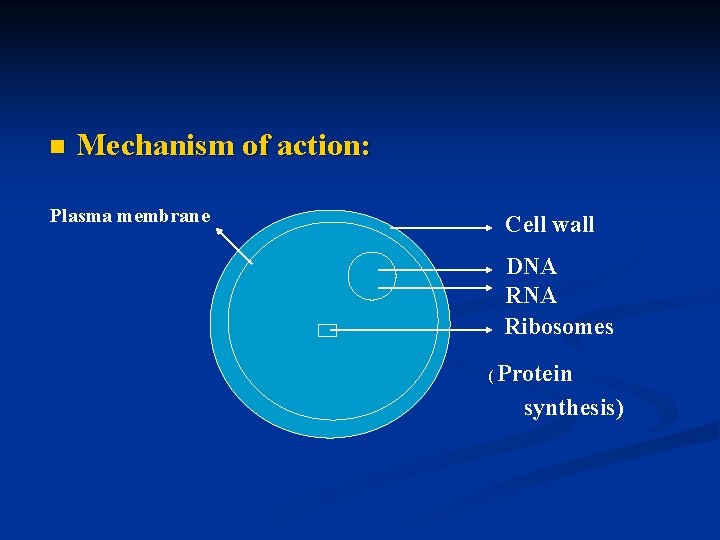 n Mechanism of action: Plasma membrane Cell wall DNA Ribosomes ( Protein synthesis) 