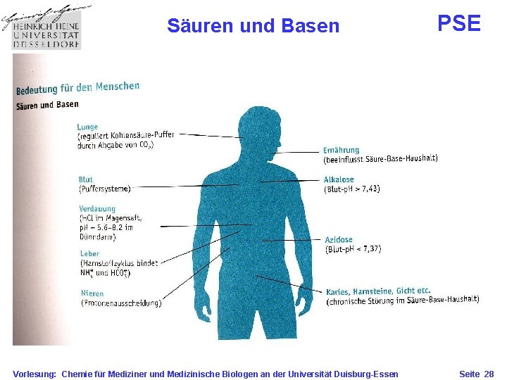 Säuren und Basen Vorlesung: Chemie für Mediziner und Medizinische Biologen an der Universität Duisburg-Essen