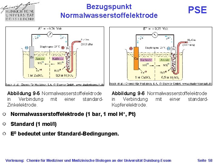 Bezugspunkt Normalwasserstoffelektrode Abbildung 9 -5 Normalwasserstoffelektrode in Verbindung mit einer standard. Zinkelektrode. PSE Abbildung