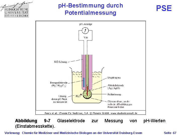 p. H-Bestimmung durch Potentialmessung Abbildung 9 -7 Glaselektrode (Einstabmesskette). zur Messung PSE von Vorlesung: