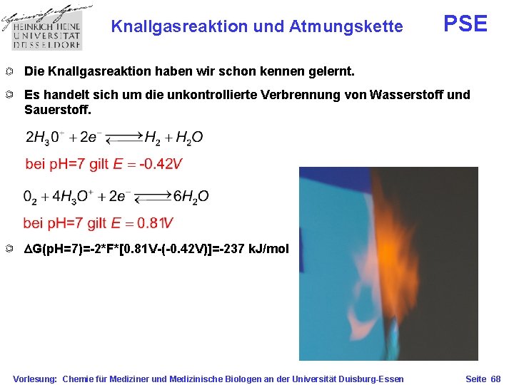 Knallgasreaktion und Atmungskette PSE Die Knallgasreaktion haben wir schon kennen gelernt. Es handelt sich