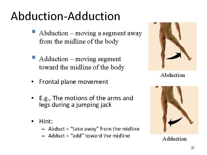 Abduction-Adduction § Abduction – moving a segment away from the midline of the body