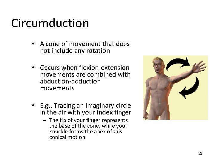 Circumduction • A cone of movement that does not include any rotation • Occurs