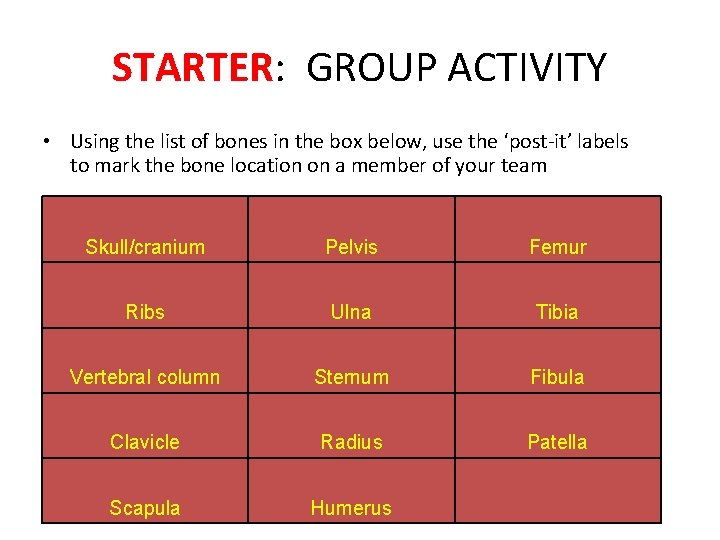 STARTER: GROUP ACTIVITY • Using the list of bones in the box below, use