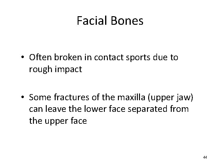 Facial Bones • Often broken in contact sports due to rough impact • Some