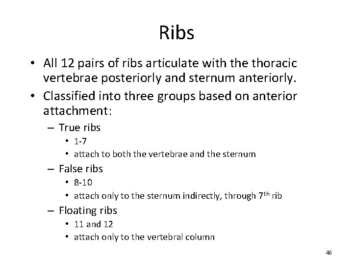 Ribs • All 12 pairs of ribs articulate with the thoracic vertebrae posteriorly and