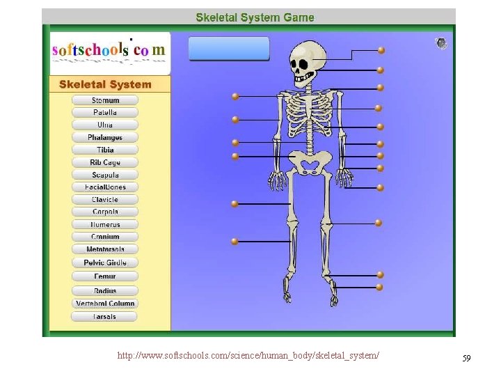 http: //www. softschools. com/science/human_body/skeletal_system/ 59 