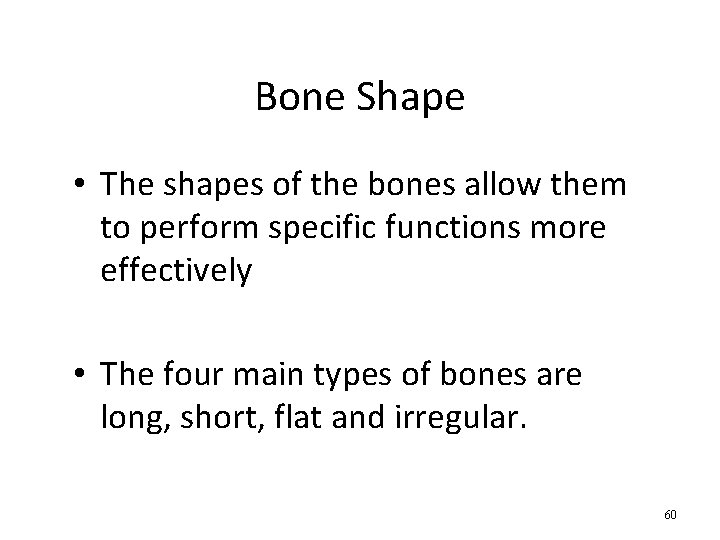 Bone Shape • The shapes of the bones allow them to perform specific functions