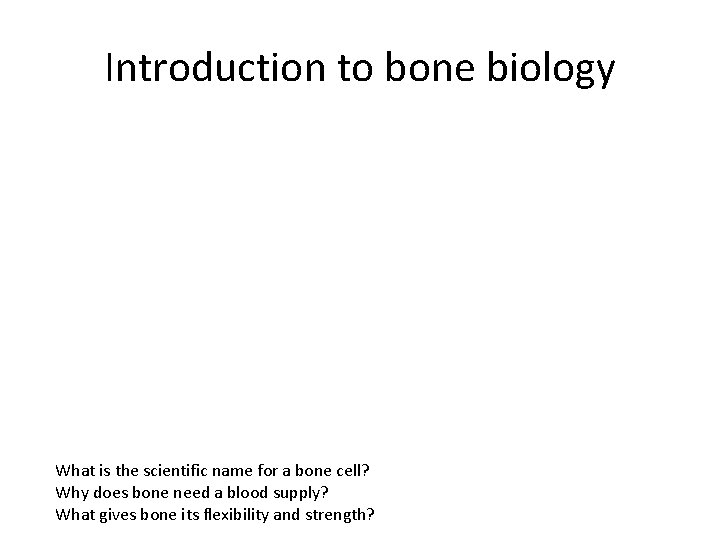 Introduction to bone biology What is the scientific name for a bone cell? Why