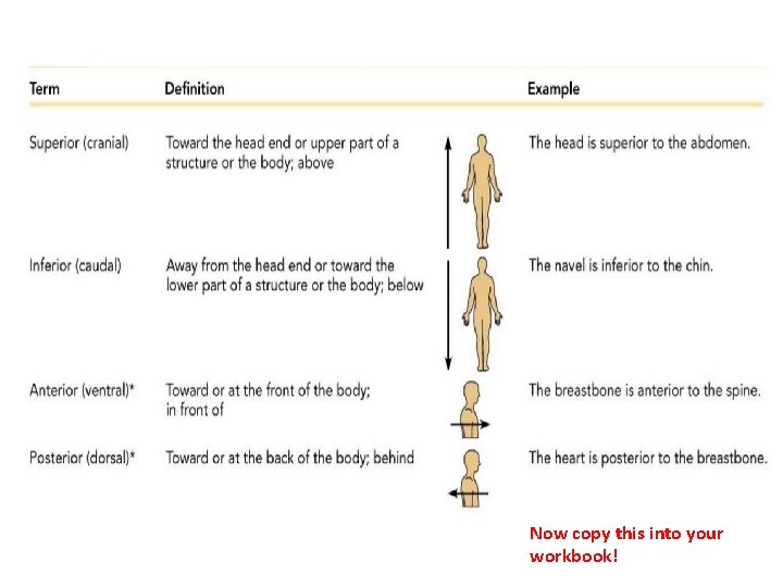 Now copy this into your workbook! 