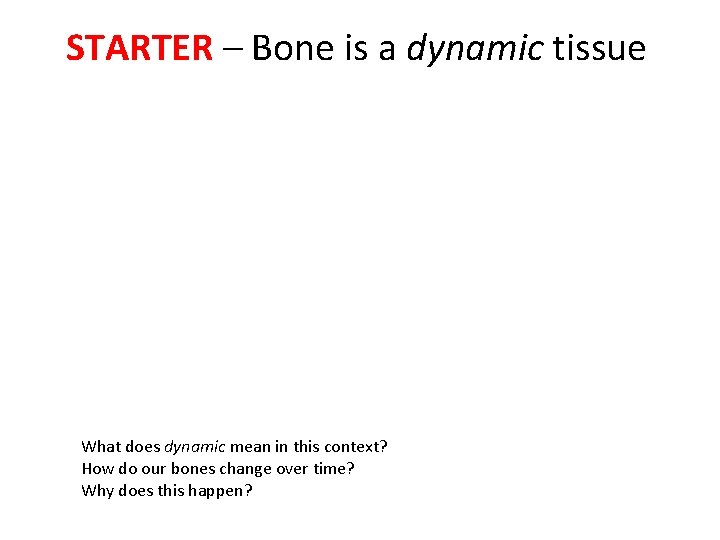 STARTER – Bone is a dynamic tissue What does dynamic mean in this context?
