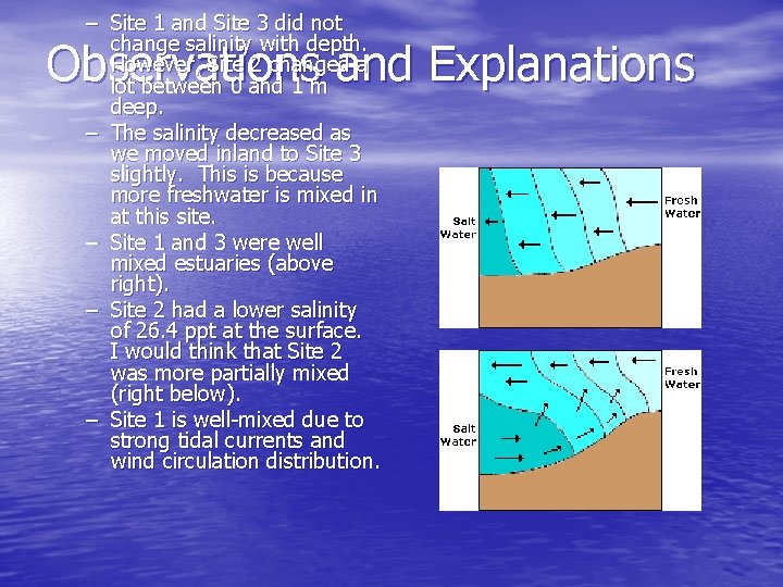 – Site 1 and Site 3 did not change salinity with depth. However, Site