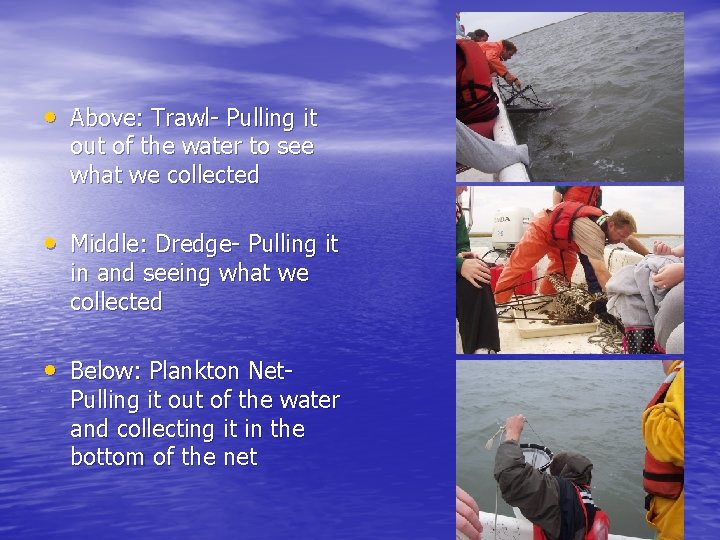  • Above: Trawl- Pulling it out of the water to see what we