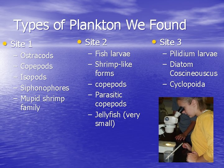 Types of Plankton We Found • Site 1 – – – Ostracods Copepods Isopods