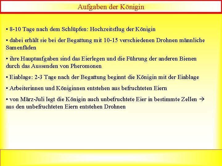 Aufgaben der Königin • 8 -10 Tage nach dem Schlüpfen: Hochzeitsflug der Königin •