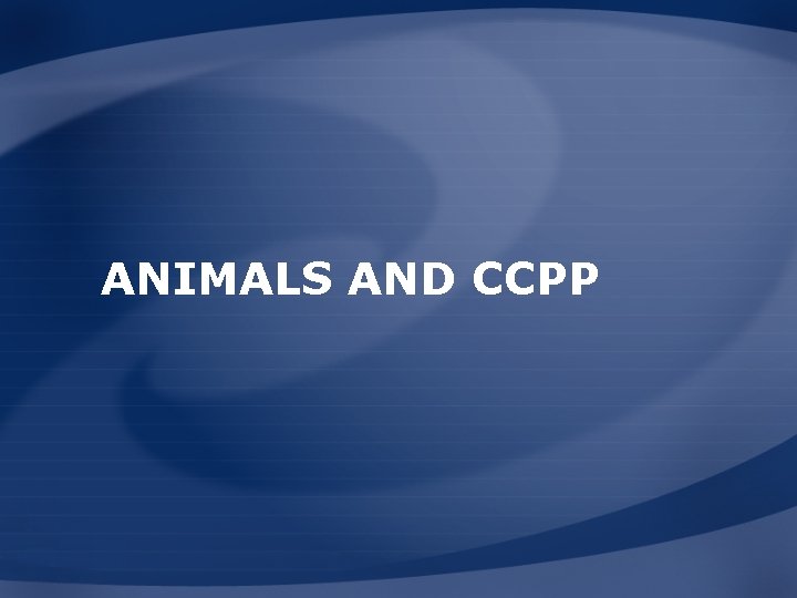 ANIMALS AND CCPP 