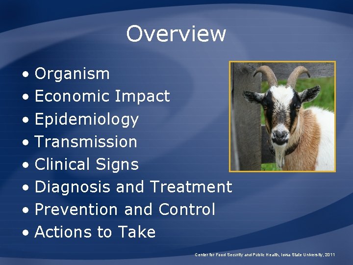 Overview • Organism • Economic Impact • Epidemiology • Transmission • Clinical Signs •