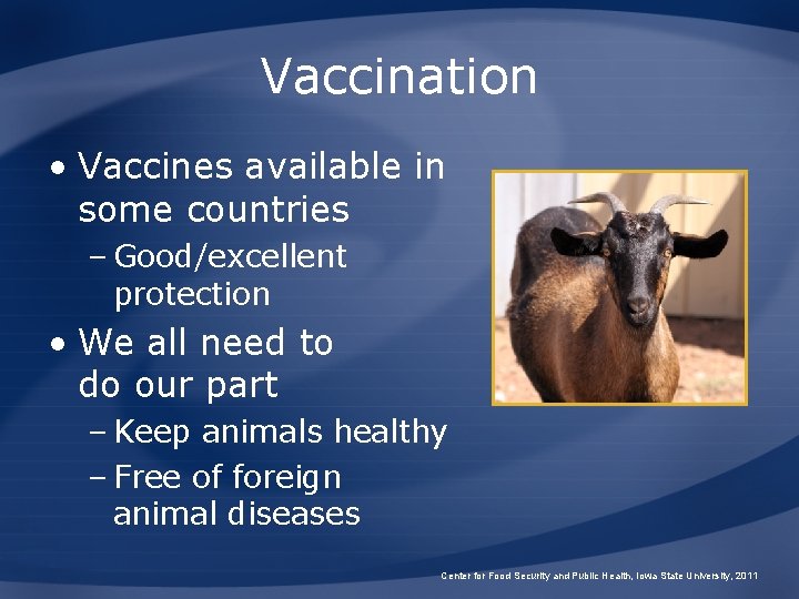 Vaccination • Vaccines available in some countries – Good/excellent protection • We all need