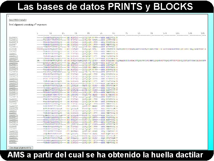 Las bases de datos PRINTS y BLOCKS AMS a partir del cual se ha Las bases de datos PRINTS y BLOCKS AMS a partir del cual se ha