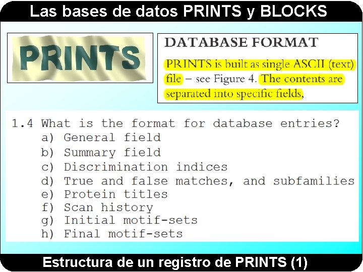 Las bases de datos PRINTS y BLOCKS Estructura de un registro de PRINTS (1) Las bases de datos PRINTS y BLOCKS Estructura de un registro de PRINTS (1)