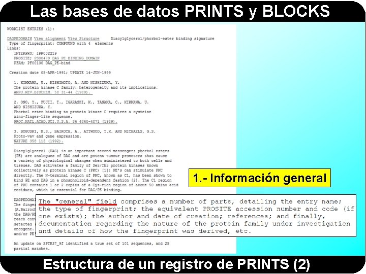 Las bases de datos PRINTS y BLOCKS 1. - Información general Estructura de un Las bases de datos PRINTS y BLOCKS 1. - Información general Estructura de un