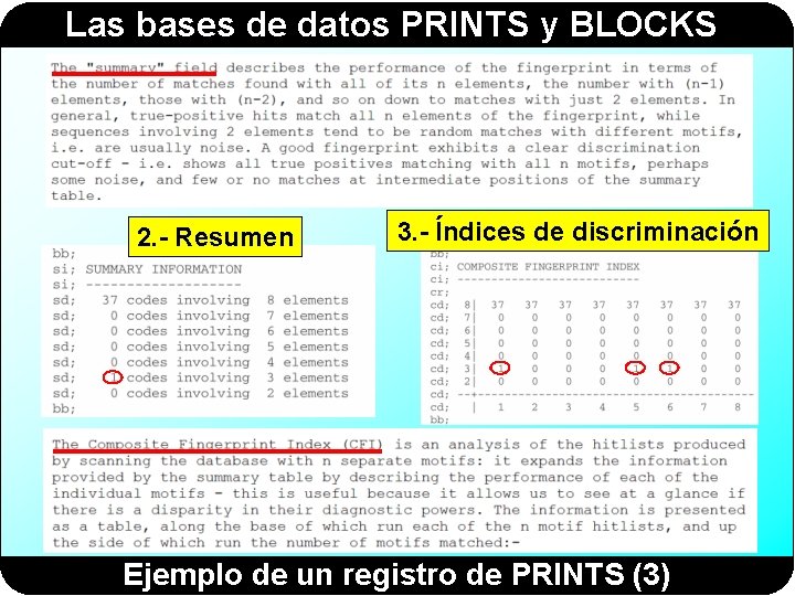 Las bases de datos PRINTS y BLOCKS 2. - Resumen 3. - Índices de Las bases de datos PRINTS y BLOCKS 2. - Resumen 3. - Índices de