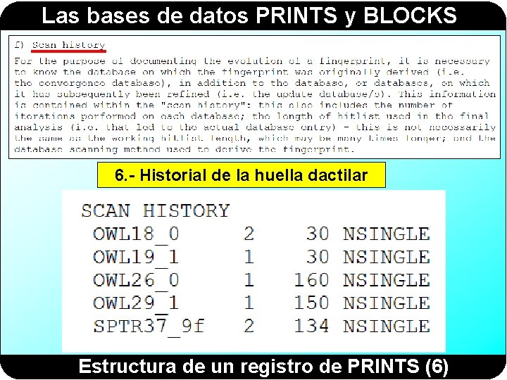 Las bases de datos PRINTS y BLOCKS 6. - Historial de la huella dactilar Las bases de datos PRINTS y BLOCKS 6. - Historial de la huella dactilar