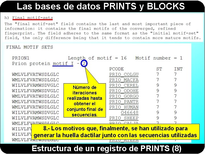 Las bases de datos PRINTS y BLOCKS Número de iteraciones realizadas hasta obtener el Las bases de datos PRINTS y BLOCKS Número de iteraciones realizadas hasta obtener el