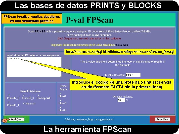 Las bases de datos PRINTS y BLOCKS FPScan localiza huellas dactilares en una secuencia Las bases de datos PRINTS y BLOCKS FPScan localiza huellas dactilares en una secuencia