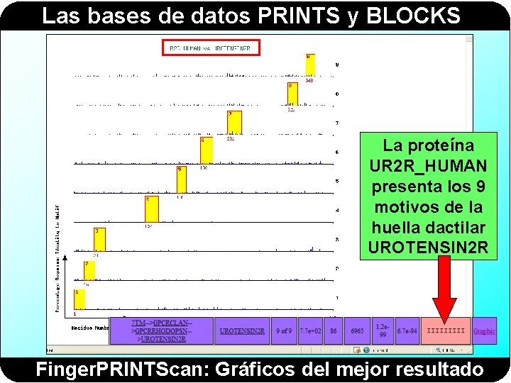 Las bases de datos PRINTS y BLOCKS La proteína UR 2 R_HUMAN presenta los Las bases de datos PRINTS y BLOCKS La proteína UR 2 R_HUMAN presenta los