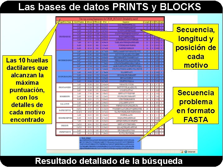 Las bases de datos PRINTS y BLOCKS Las 10 huellas dactilares que alcanzan la Las bases de datos PRINTS y BLOCKS Las 10 huellas dactilares que alcanzan la