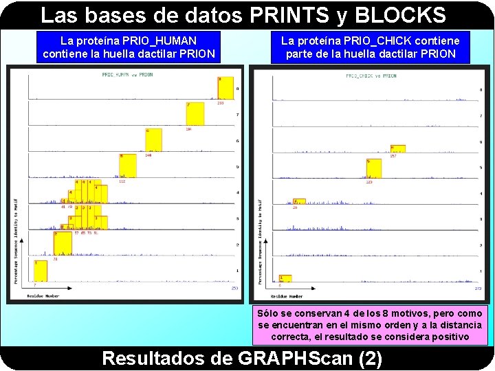 Las bases de datos PRINTS y BLOCKS La proteína PRIO_HUMAN contiene la huella dactilar Las bases de datos PRINTS y BLOCKS La proteína PRIO_HUMAN contiene la huella dactilar