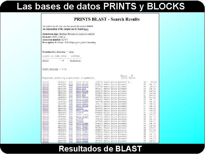 Las bases de datos PRINTS y BLOCKS Resultados de BLAST Las bases de datos PRINTS y BLOCKS Resultados de BLAST