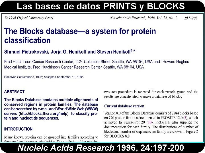 Las bases de datos PRINTS y BLOCKS Nucleic Acids Research 1996, 24: 197 -200 Las bases de datos PRINTS y BLOCKS Nucleic Acids Research 1996, 24: 197 -200