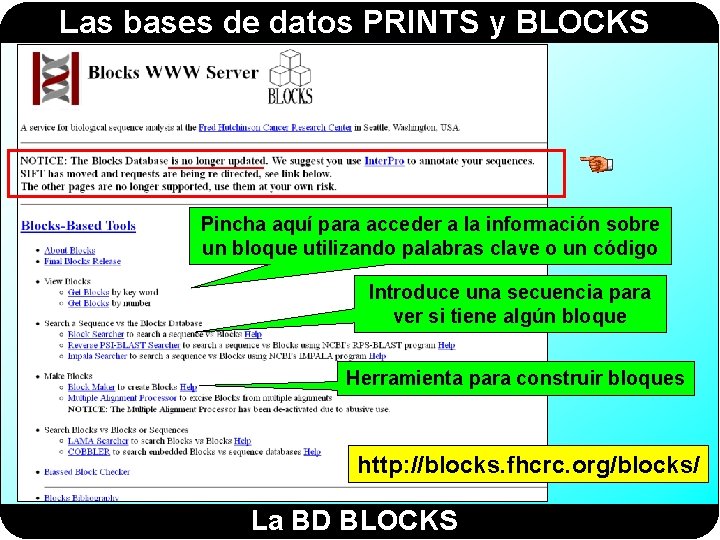 Las bases de datos PRINTS y BLOCKS Pincha aquí para acceder a la información Las bases de datos PRINTS y BLOCKS Pincha aquí para acceder a la información