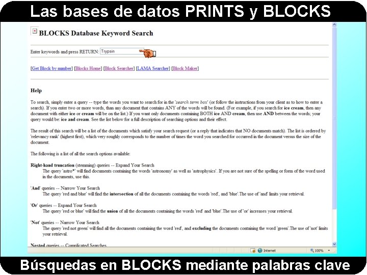 Las bases de datos PRINTS y BLOCKS Búsquedas en BLOCKS mediante palabras clave Las bases de datos PRINTS y BLOCKS Búsquedas en BLOCKS mediante palabras clave