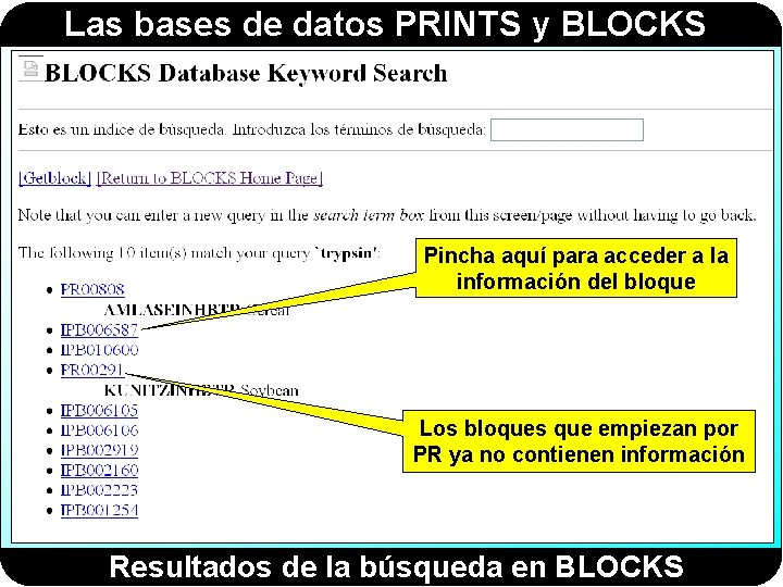 Las bases de datos PRINTS y BLOCKS Pincha aquí para acceder a la información Las bases de datos PRINTS y BLOCKS Pincha aquí para acceder a la información