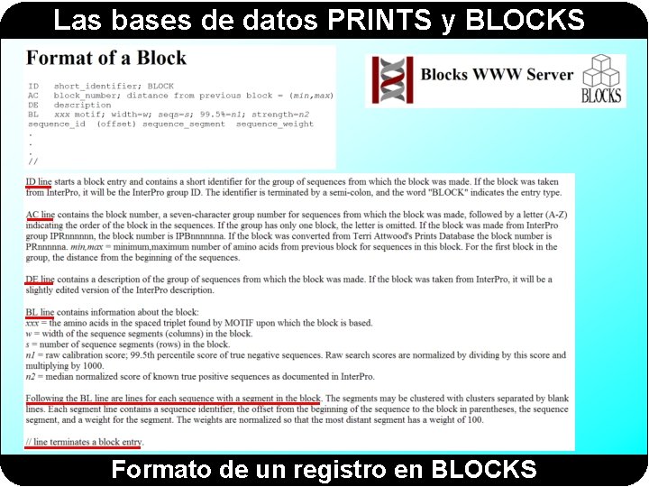 Las bases de datos PRINTS y BLOCKS Formato de un registro en BLOCKS Las bases de datos PRINTS y BLOCKS Formato de un registro en BLOCKS