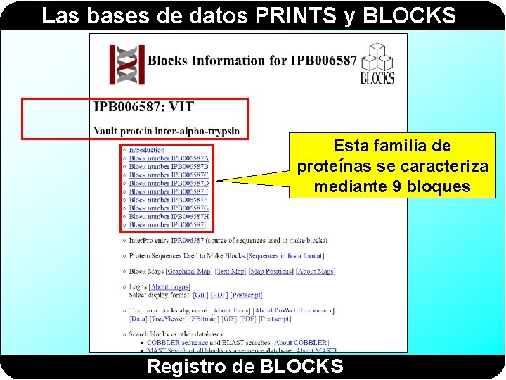 Las bases de datos PRINTS y BLOCKS Esta familia de proteínas se caracteriza mediante Las bases de datos PRINTS y BLOCKS Esta familia de proteínas se caracteriza mediante