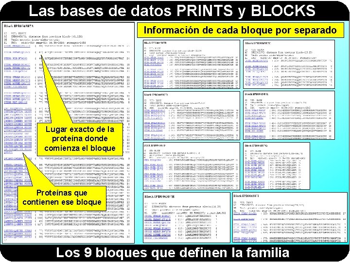 Las bases de datos PRINTS y BLOCKS Información de cada bloque por separado Lugar Las bases de datos PRINTS y BLOCKS Información de cada bloque por separado Lugar