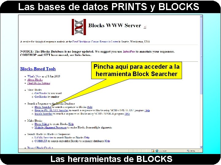 Las bases de datos PRINTS y BLOCKS Pincha aquí para acceder a la herramienta Las bases de datos PRINTS y BLOCKS Pincha aquí para acceder a la herramienta