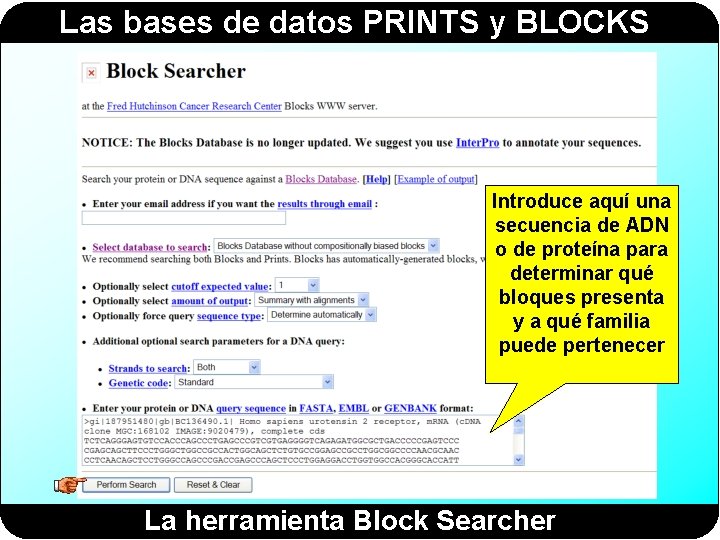 Las bases de datos PRINTS y BLOCKS Introduce aquí una secuencia de ADN o Las bases de datos PRINTS y BLOCKS Introduce aquí una secuencia de ADN o
